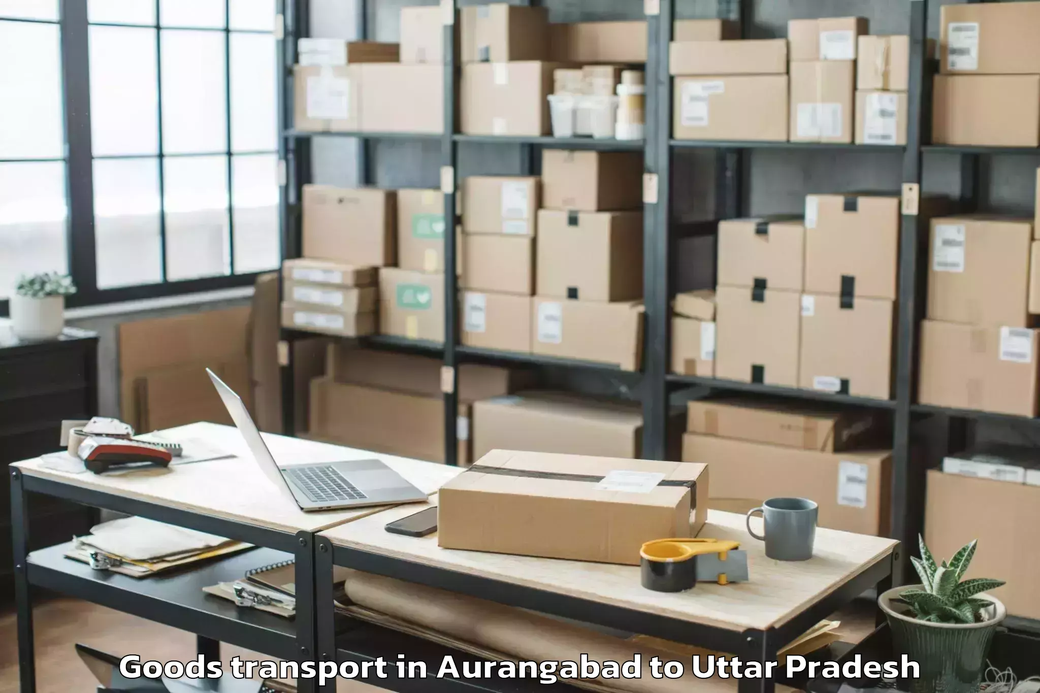 Top Aurangabad to Mursan Goods Transport Available